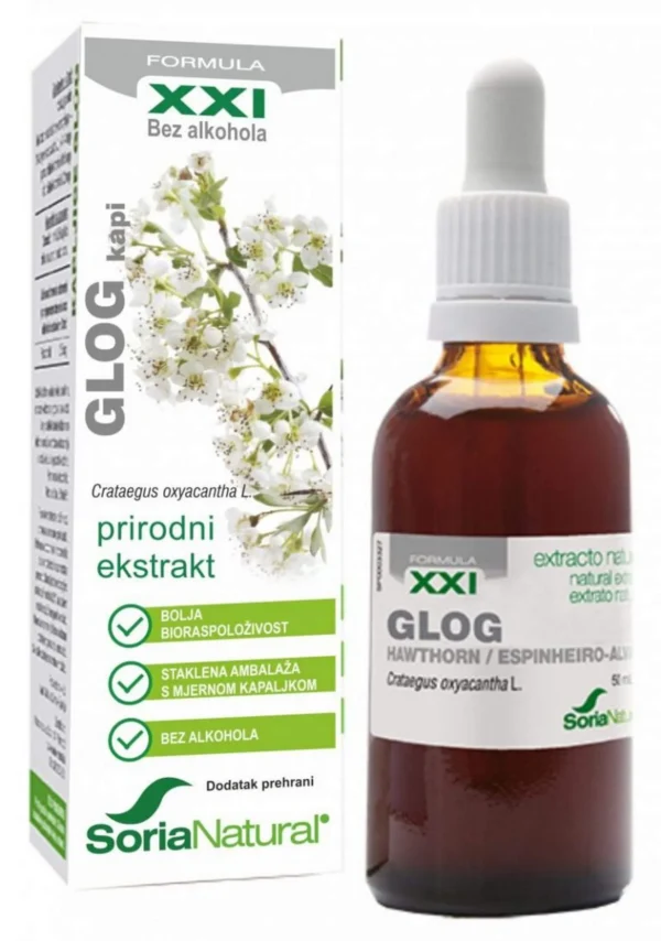 Glog (Crataegus) je biljka poznata po svojim blagotvornim efektima na zdravlje srca i krvnih sudova Hawthorn (Crataegus) is a plant known for its beneficial effects on the health of the heart and blood vessels